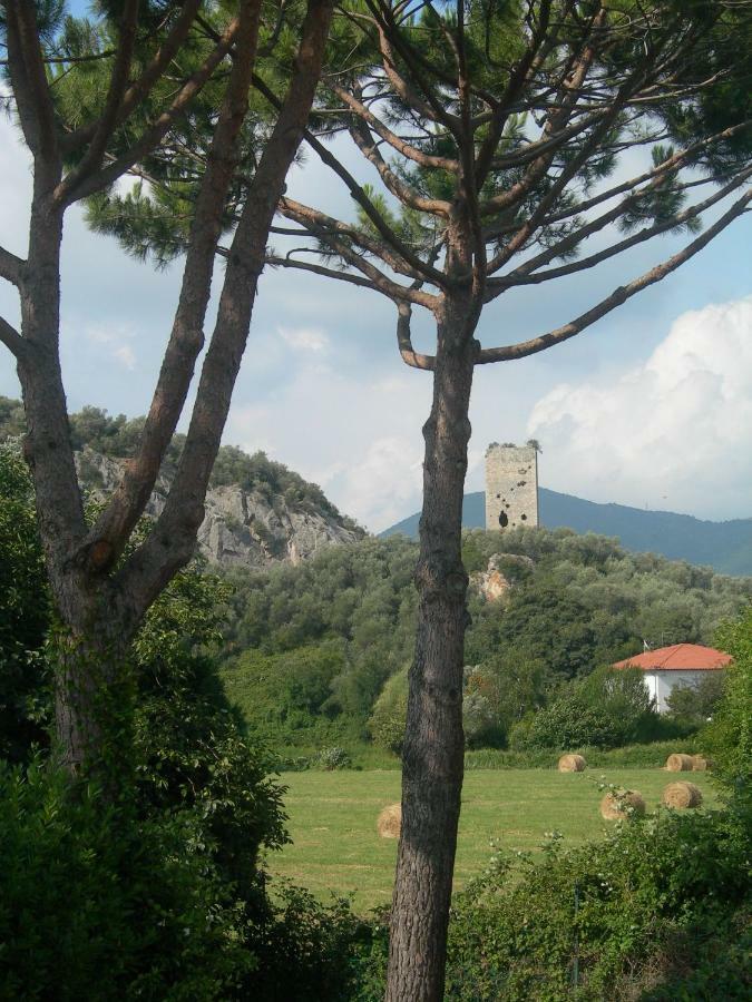B&B La Rondine Tra Pisa E Luccaサン・ジュリアーノ・テルメ エクステリア 写真